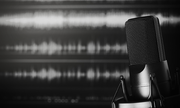 一种与低音炮配合使用,同时保持 FLAT 声效的模式。